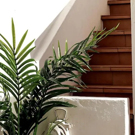 Ocean Front Terrace Semesterbostad *