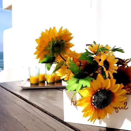 Ocean Front Terrace Semesterbostad