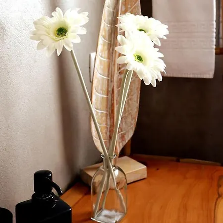 Ocean Front Terrace * Ericeira