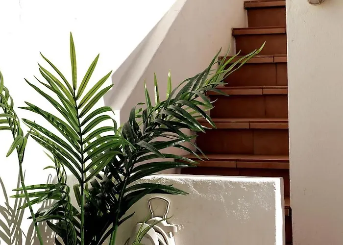 Ocean Front Terrace Dom wakacyjny *